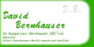 david bernhauser business card